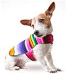 Handmade Dog Poncho from Mexican Serape Blanket Dog Clothes Coat Costume Sweater Vest