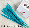 Home Decorative Flower Small Pampas Grass Dried Pampas Grass Natural Fresh Pampas Grass for Decoration