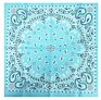 Fanni 22X22 Inches Paisley Bandana Headband Multifunction Cotton Square Face Covering Bandana Handkerchief Scarfs