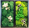 Preserved Moss