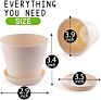Diy Indoor Bonsai Tree Starter Kit with 4 Seeds Types Includes Seed Pot Peat Soil for Kids and Adult Crafts