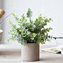 3 Pack Mini Potted Faux Greenery Artificial Plastic Eucalyptus Rosemary Plants for Home Office Desk Room Decoration