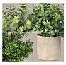 3 Pack Mini Potted Faux Greenery Artificial Plastic Eucalyptus Rosemary Plants for Home Office Desk Room Decoration