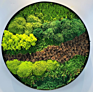 Preserved Moss
