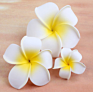 Style Sunny Bright Plumeria Flower Foam Hair Clips 3 Sizes Barrettes Hairpins Headwear Hair Accessories Kids Girls Women