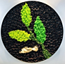 Preserved Moss