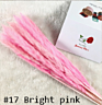 Home Decorative Flower Small Pampas Grass Dried Pampas Grass Natural Fresh Pampas Grass for Decoration