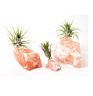 Natural Pink Crystal Salt Air Plant Holder Pots