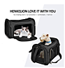 pet carrier travel bag