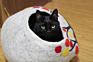 Warm Cat Cave