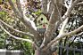 Outdoor Decoration Diy Wooden Garden Feeder Tree Bird House