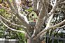 Outdoor Decoration Diy Wooden Garden Feeder Tree Bird House