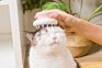 Durable Using Make the Fur Healthier Multi-Purpose Pet Massage Comb