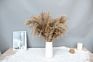 Pampas Grass Dry Flower Bunch for Vase Home Boho Decor Floral Arrangements Large Pampas Grass