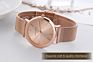 Hannah Martin Cc36 Women Wristwatch Mesh Rose Gold Waterproof Ladies Watch