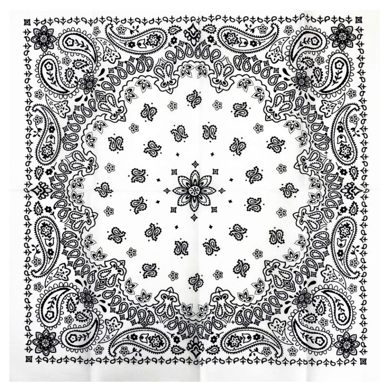 Fanni 22X22 Inches Paisley Bandana Headband Multifunction Cotton Square Face Covering Bandana Handkerchief Scarfs