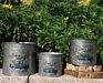 Christmas Galvanized Metal Flower Bucket Farmhouse Rustic round Tub Galvanized Pot Metal Tin Planters for Garden Home Set of 3