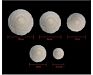 L06416 Price Home Decoration Flowers Different Shape Coloured 4.5Cm 8Cm Wood Sola Flower