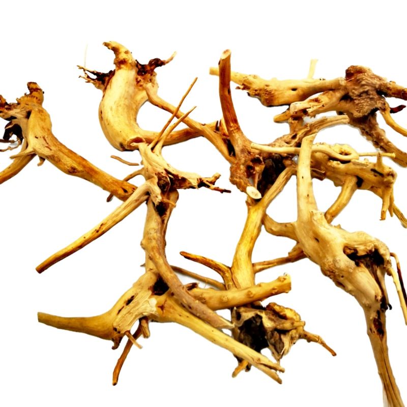 10-15 Cm Driftwood for Aquarium Natural Wood Branches Fish Tank Decorations Reptiles Tree Trunk Driftwood