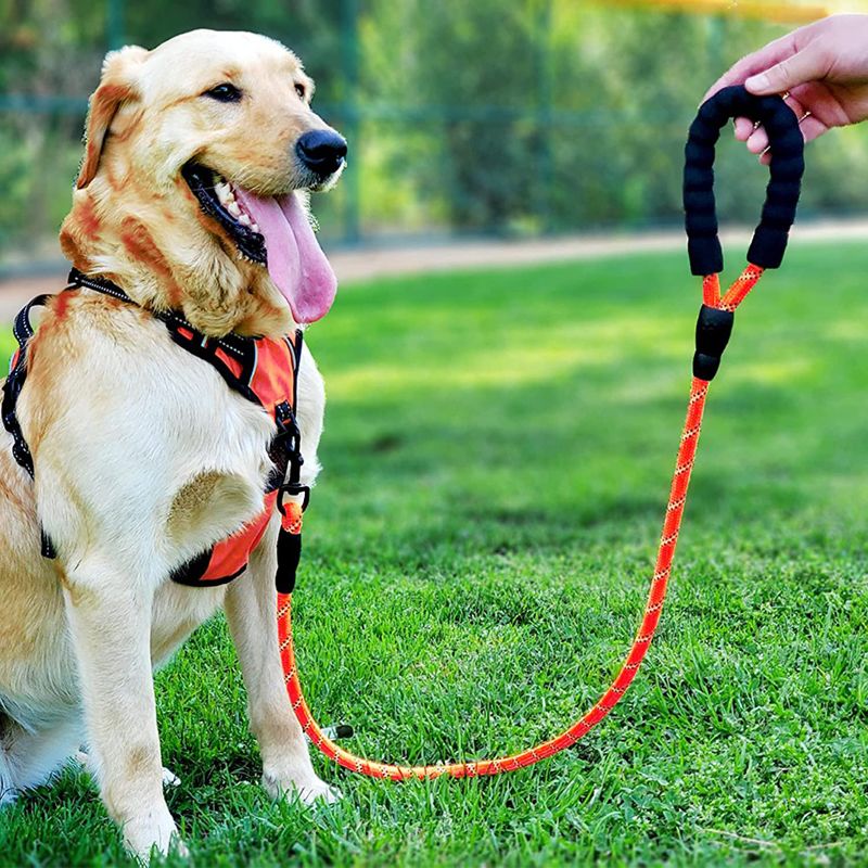 5 Ft Strong Rope Dog Lead with Comfortable Padded Handle and Highly Reflective Threads Big Heavey Duty Rope Dog Leash