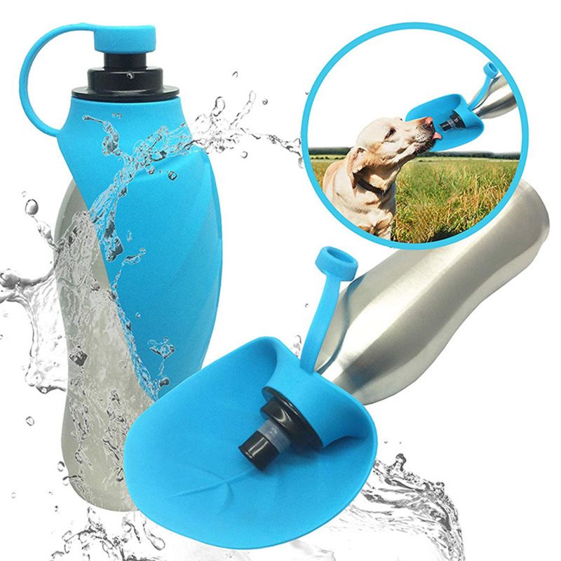 Pet water bottles wholesale outlet
