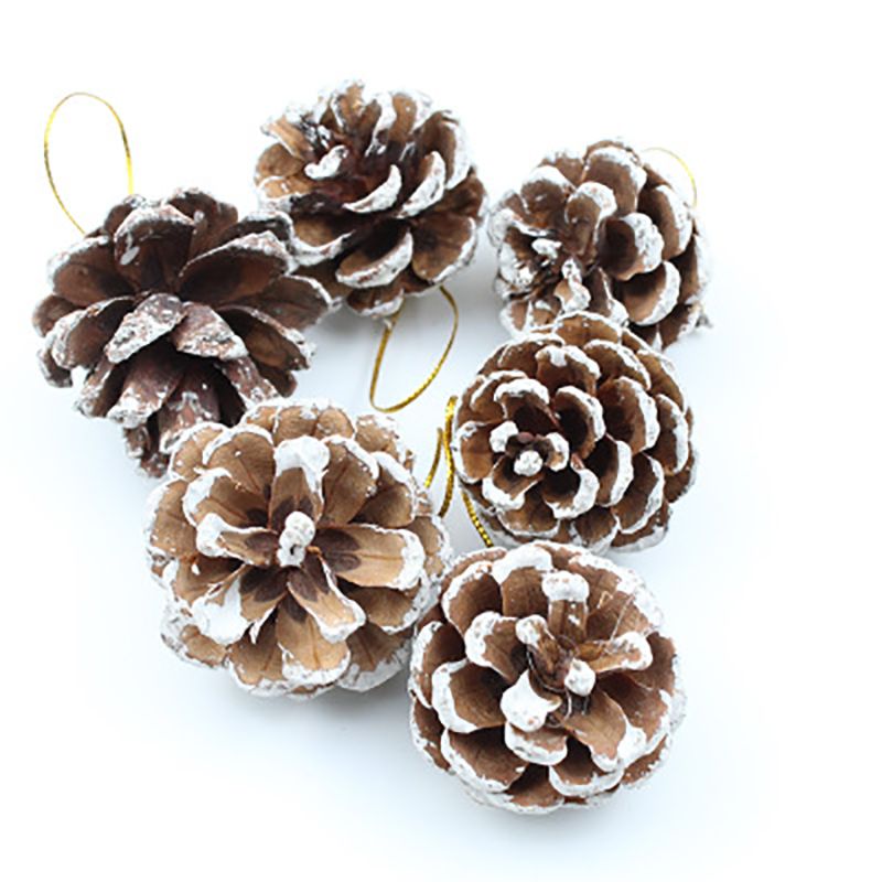 9 Pcs White Tipped Natural Christmas Hanging Pine Cones Ornaments for Home Wedding Decorations