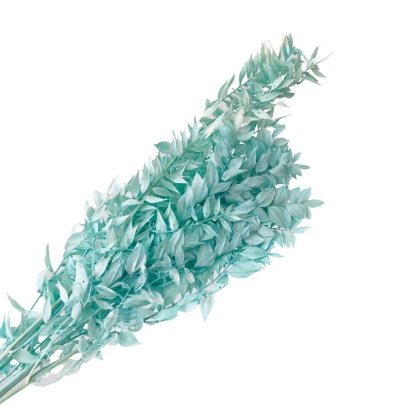 Artificial Green Ruscus Dried Flower Italian Ruscus Greenery Garland Ruscus Leaves for Decor