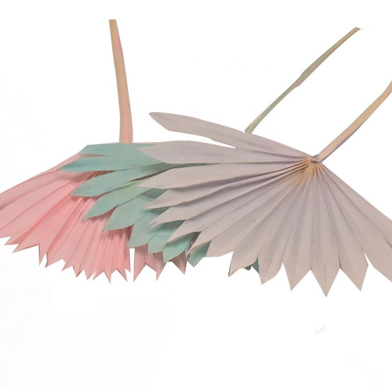 Bleached Sun Palm Dried Flower Bouquet Small Palm Spear Stems Natural Preserved Palm Fan for Wedding