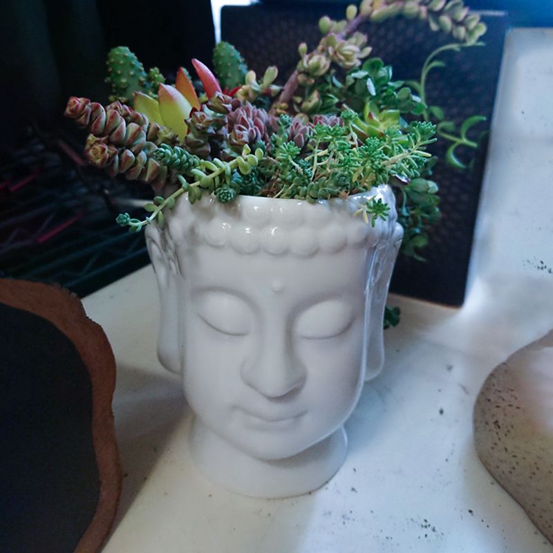 flower pots ceramic