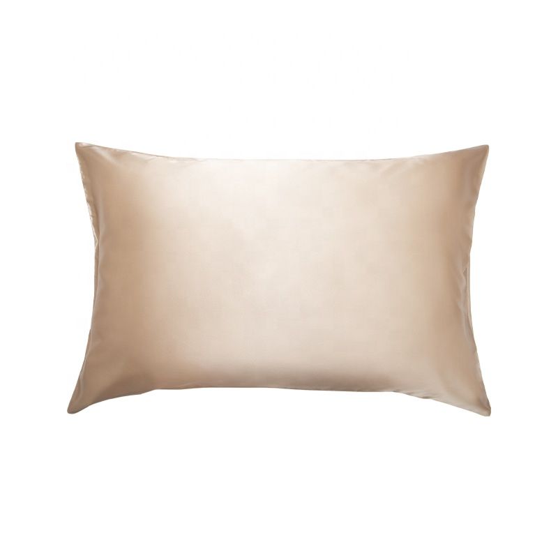 Chinese Pure Pillowcase Silk Pillowcase 100% Silk Satin Pillowcase Luxury Silk Pillow