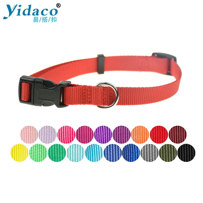 Customize Collar Dog Premium Nylon Webbing Dog Collar