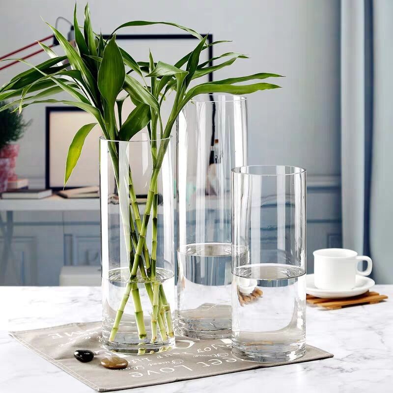 Different Sizes Hydroponic Clear Plant Tall Cylinder Glass Flower Vase