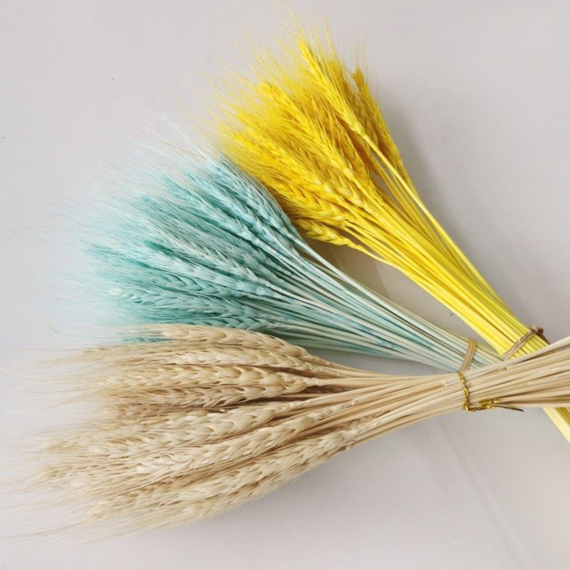 Dried Wheat Bouquet Boho Decor Household Flower Arrangement Preserved Natural Plant Centerpiece Decoration Wedding