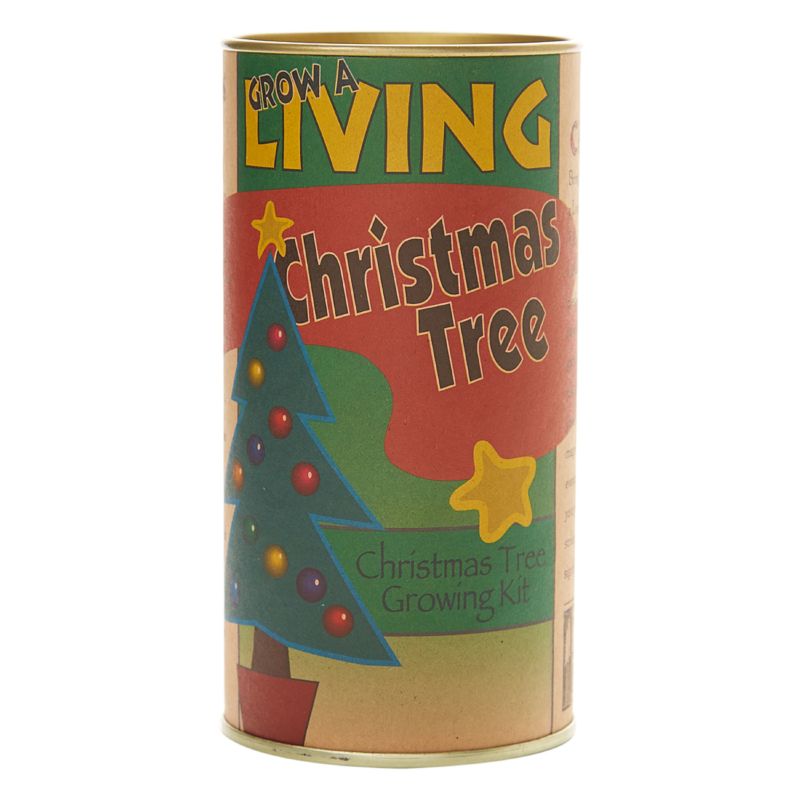 Giant Sequoia Christmas Tree Seed Grow Kit