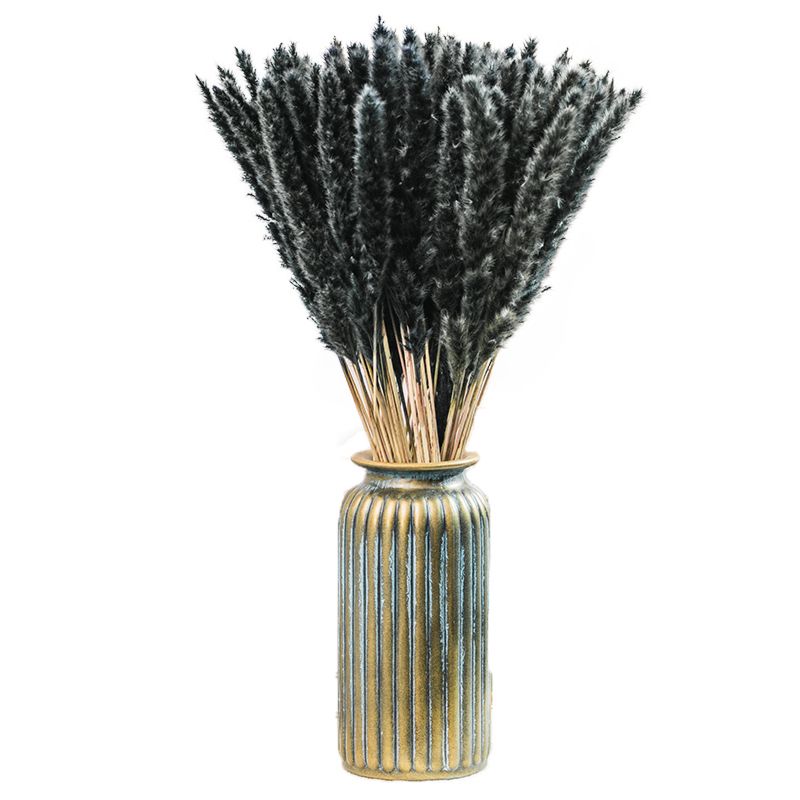 Ins Most Popular Decoration Dried Flowers Pampas Grass Black Pampas for Home or Weddings Decoration