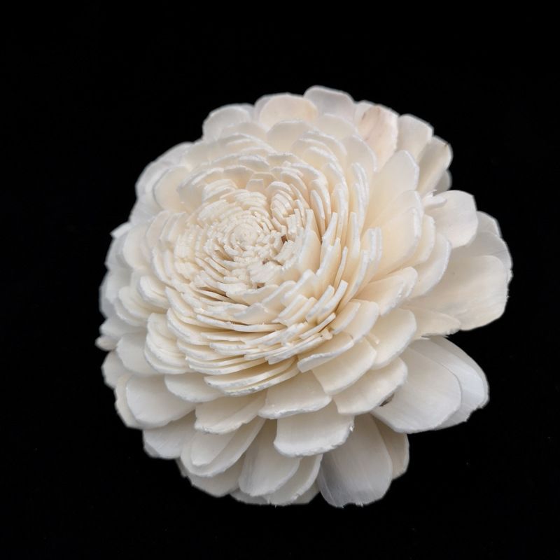L06416 Price Home Decoration Flowers Different Shape Coloured 4.5Cm 8Cm Wood Sola Flower