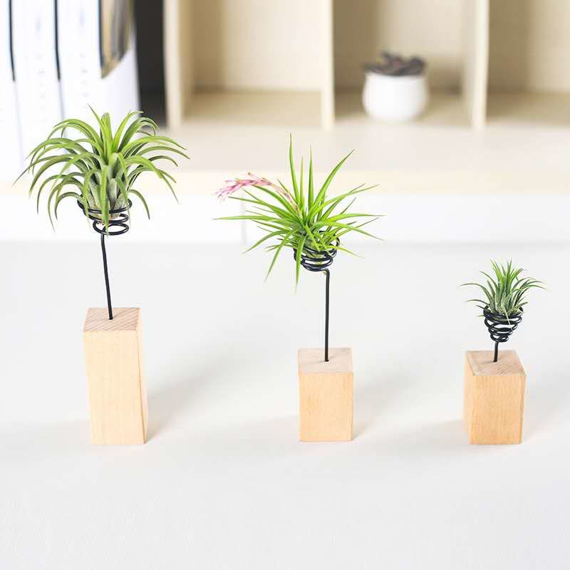 Lazy Plant Growing Holder Tillandsia Wooden Standing Holder Wooden Block Display Rack for Air Plant