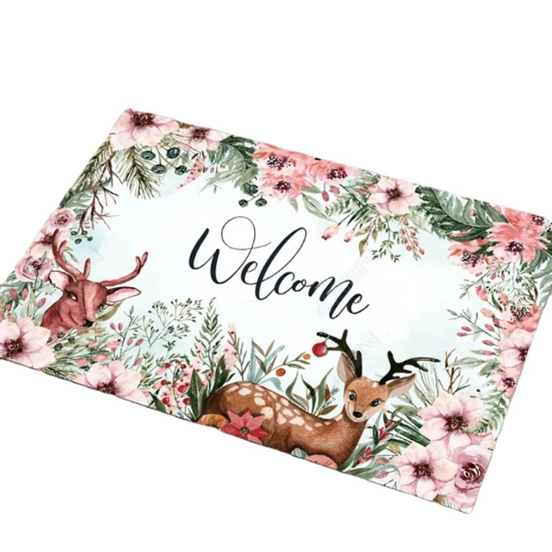 Lowest Price Velvet Foot Mat anti Slip Rug 3D Door Mat for Home