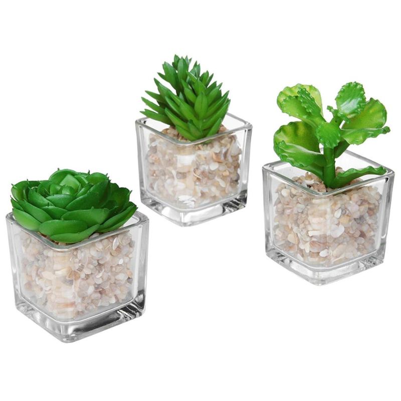 Mini Clear Glass Cube Planters Display Vases Artificial Succulent Plant Pots for Indoor Plants