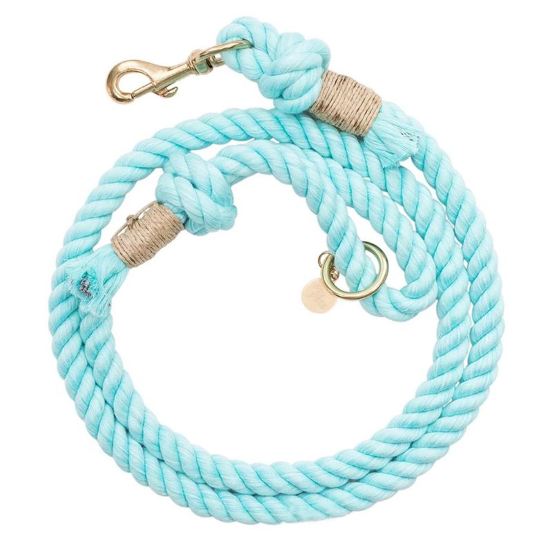 Multi-Colors Thick Outdoor Pet Dog Rope Leashes