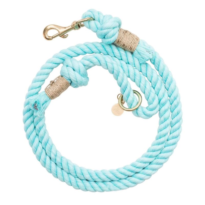 Multi-Colors Thick Rope Leashes for Pet Dog Outdoor Use