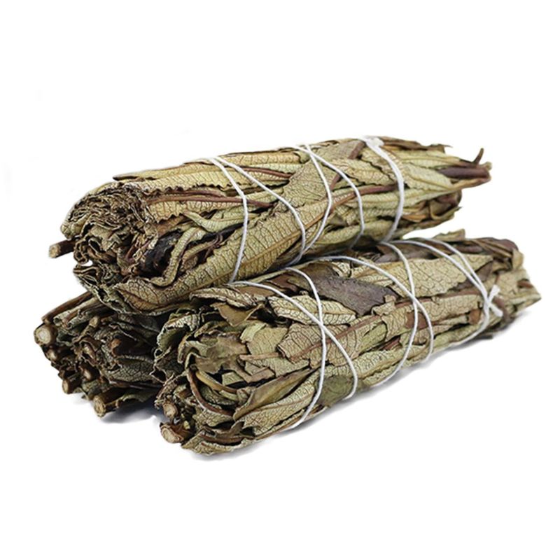 Natural Organic Yerba Santa Smudge Sticks for Cleansing, Meditation, Yoga, and Smudging