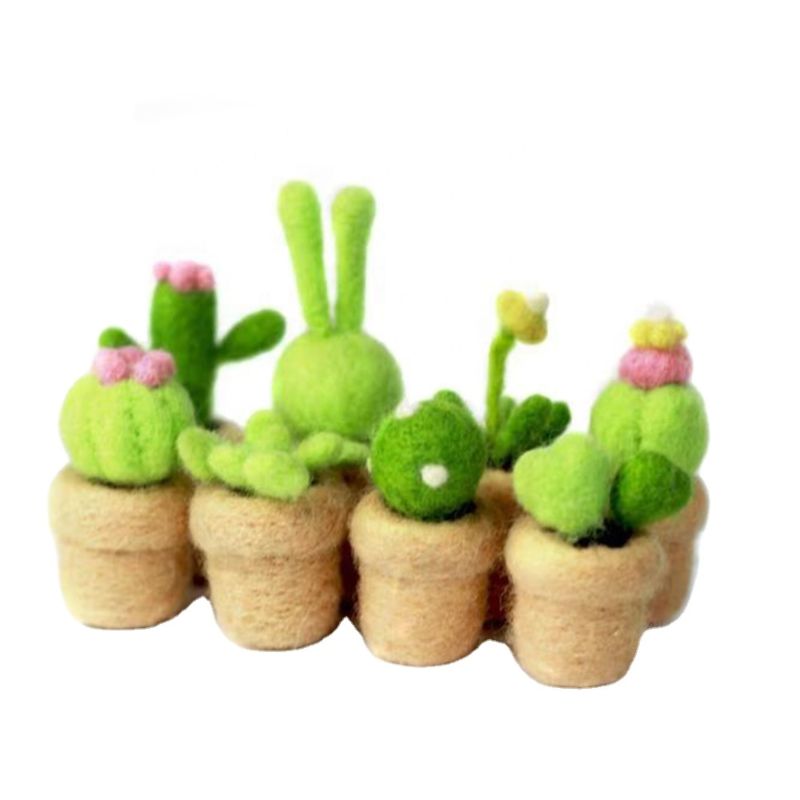 Needle Felting Supplies Kit Wool Felt Starter Set Succulent Plants and Cactus 8-In-1 Pack Easy to Follow Full Range