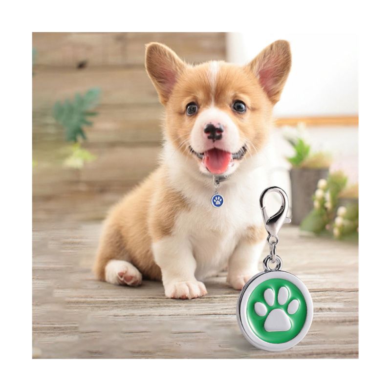 Personalized Paw Print round Pet Cat Dog Tag Pet Footprint Pendant Pawstrip Paw Name Tags