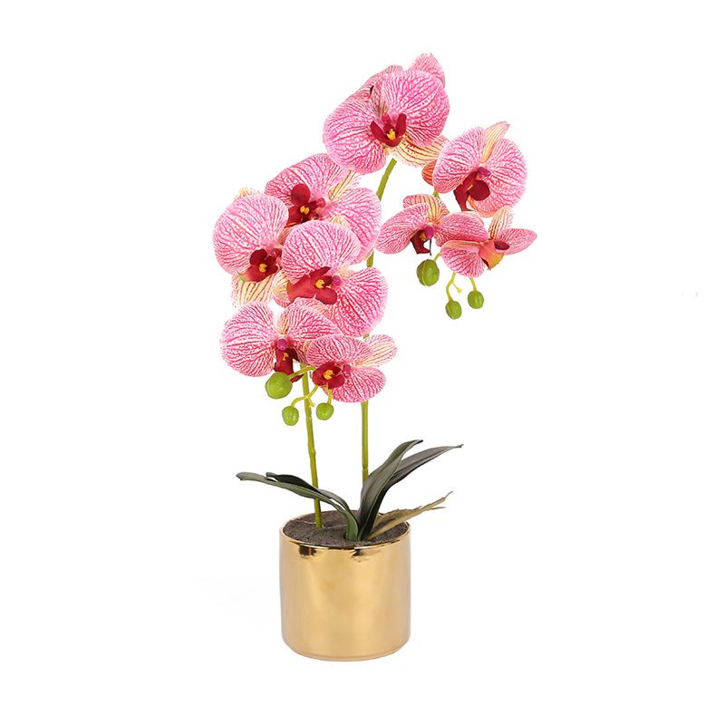 Pink Artificial Simulation Phalaenopsis Bonsai Pot