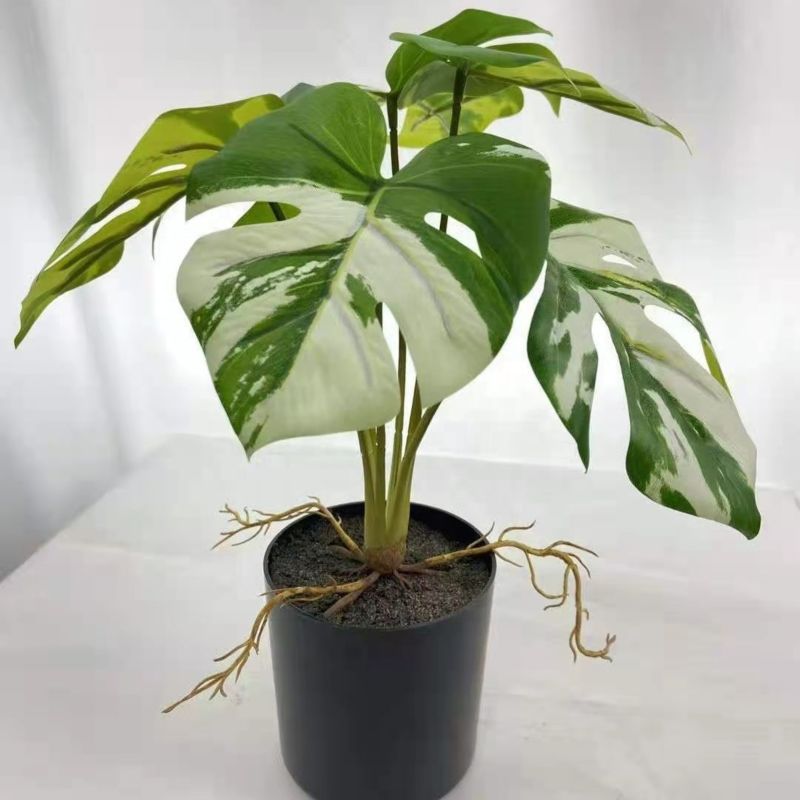 Real Touch Small Potted Monstera Variegated Plant Artificial Tree and Plant