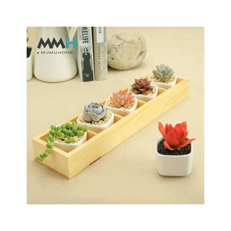 Spot Succulent Flowerpot Wooden Box 5 Grid Mutuo Succulent Wooden Box Processing Customization