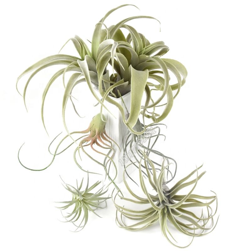 Style Faux Flower Fake Grass Artificial Plant Air Plant for Home Decoration
