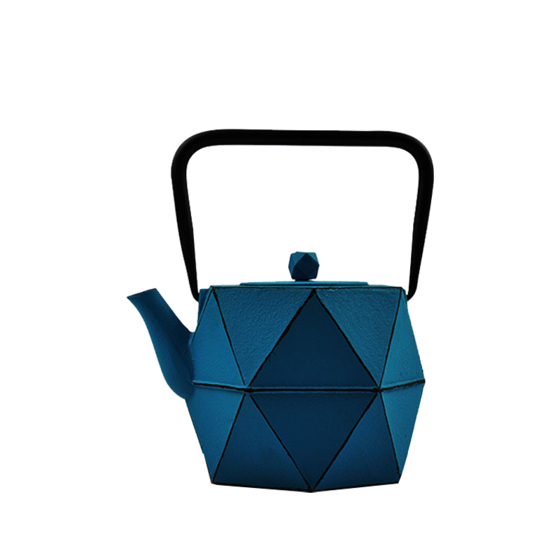 Theiere Fonte Cast Iron Teapot with Stainless Steel Filter 0.8L Tea Pot Kettle