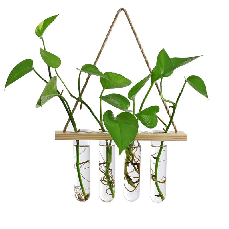 Wooden Stand Popular Hanging Planter Vase Glass Tube Hanging Plant Terrarium Container